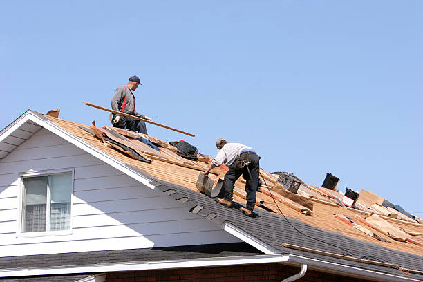 Best Storm Damage Roof Repair  in Waynesboro, VA